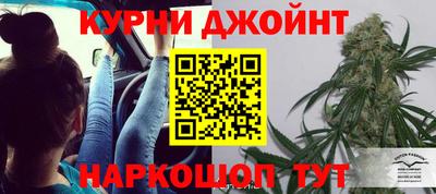 гидропоника Гусев