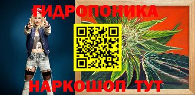 шишки Гусиноозёрск
