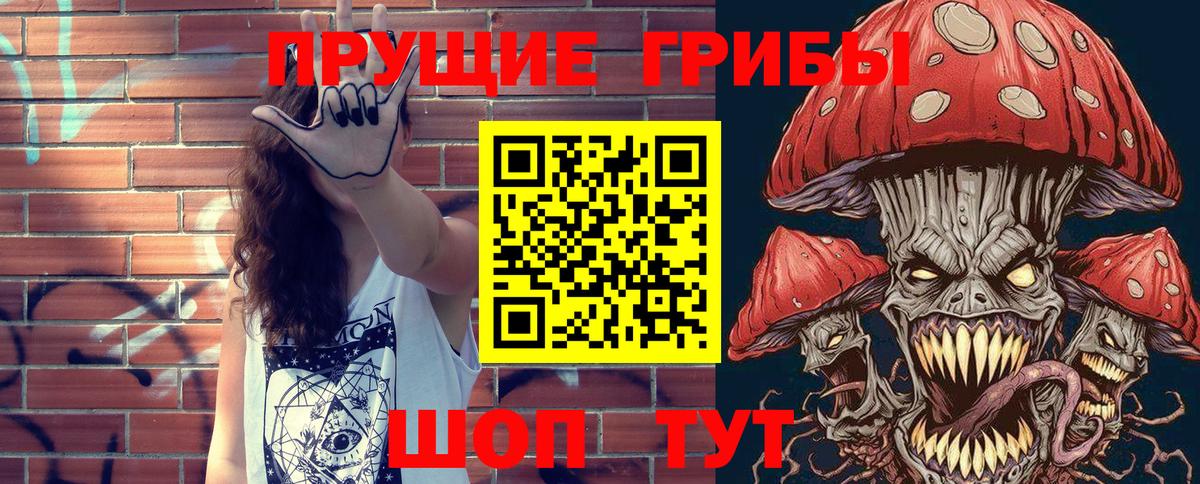 Вышний Волочёк  Псилоцибиновые грибы прущие грибы  Вход с VPN 