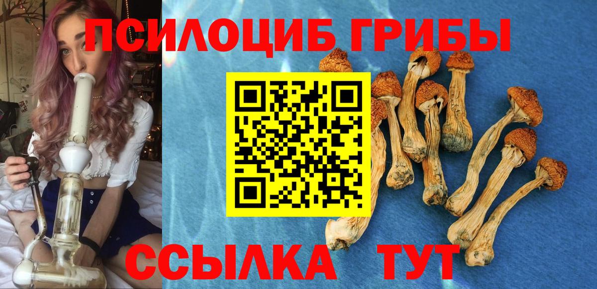 Псилоцибиновые грибы мухоморы Вышний Волочёк